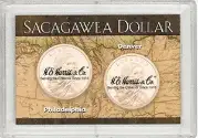 Sacagawea P&D Frosty Case