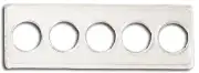 Whitman 2x6 State Quarter Strip 5 Hole -  (25 pack)