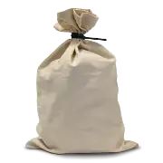 10 oz Canvas Money Bag - 12 x 19