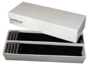Guardhouse Double Row 2x2 Box - Holds 50
