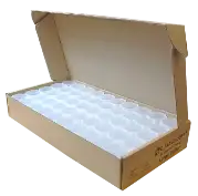 Guardhouse Large Dollar Coin Tube-50 Pack